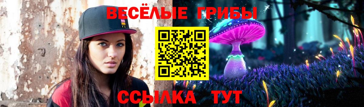 Якутск  Псилоцибиновые грибы ЛСД  магазин    Вход с VPN 